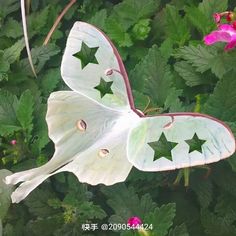 a large white butterfly sitting on top of green leaves