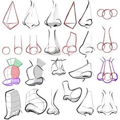 a bunch of different shapes and sizes of feet