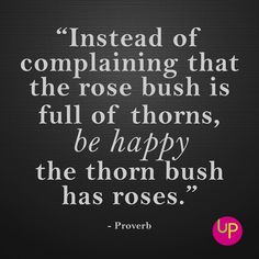 a quote that reads instead of comparing that the rose bush is full of thorns, be happy the thorn bush has roses