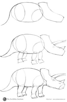 how to draw rhinoceros step by step