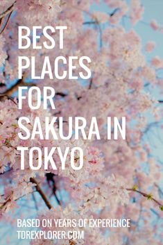 the words best places for sakura in tokyo