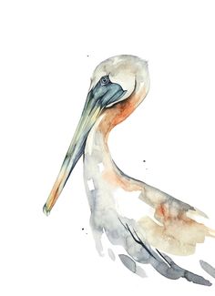 a watercolor painting of a pelican with long legs and large beaks