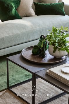 a living room with a couch, coffee table and potted plants on the tray