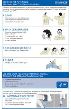 an info sheet describing how to use gloves for face coverings and other protective equipment