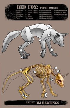 an animal skeleton is shown with instructions to make it look like a fox or other animal