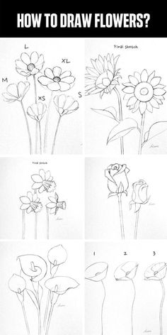 how to draw flowers step by step with pictures and text on the bottom right side