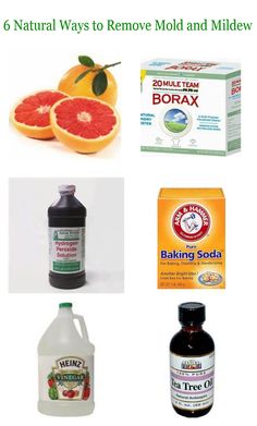 Cleaning Mildew Off Wood, How To Get Rid Of Mold In Plant Dirt, Non Toxic Mold Remover, Getting Rid Of Mold, All Natural Mold And Mildew Cleaner, How To Remove Mold, Remove Mold, Mold Removal