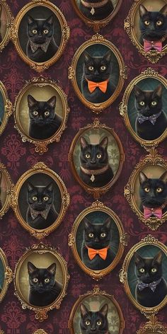 many black cats wearing bow ties and sitting in oval frames