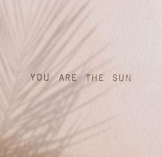 the words you are the sun written in sand with a palm tree shadow on it