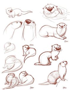 an image of otters in different poses