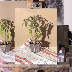 two potted plants sitting next to each other on a table