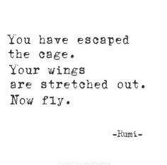 a quote that reads you have escaped the cage, your wings are stretched out now fly