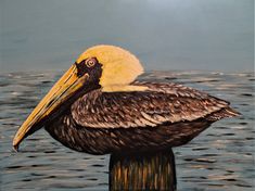 a painting of a pelican sitting on a post in the water