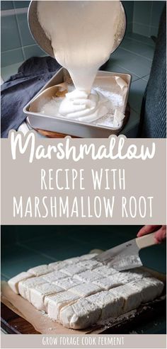 marshmallow recipe with marshmallow root is an easy and delicious treat for the whole family