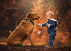 a baby and a dog playing with each other in the park at sunset or sunrise