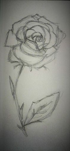 a pencil drawing of a rose on a white paper