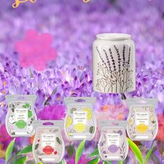 an assortment of tea bags in front of purple flowers with the words love you written on them