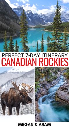 the canadian rockies and rocky mountains are featured in this postcard