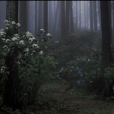 a path in the middle of a forest with blue flowers growing on it's side