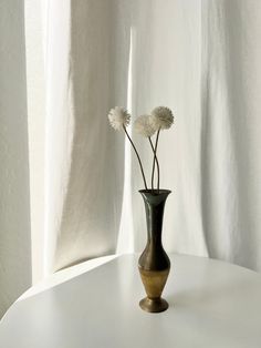 two white flowers in a black vase on a table with curtains behind it and the light coming through the window