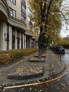 an empty city street lined with buildings and trees in the fall time, along with leaves on the ground