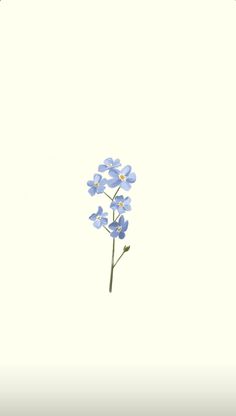 some blue flowers are in the middle of a white background and there is no image on it