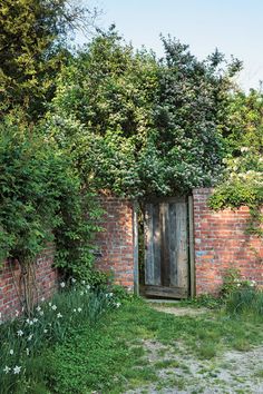 an open door in the side of a brick wall with vines growing on it's sides