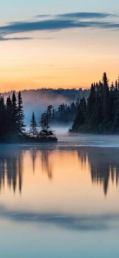 a lake surrounded by trees and fog at sunset