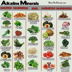 Alkalizing Foods, Alkaline Diet Plan, Sprouting Quinoa, Dr Sebi Alkaline Food, Garlic Kale, Alkaline Diet Recipes, Matcha Benefits, Kale And Spinach, Food Charts