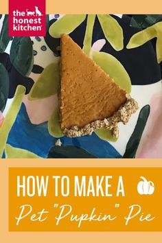 how to make a pet pumpkin pie