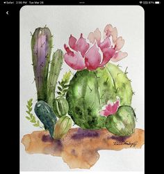 a watercolor painting of cactus and flowers