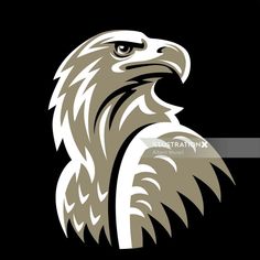 an eagle is shown on a black background