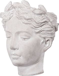 a close up of a statue of a person's head