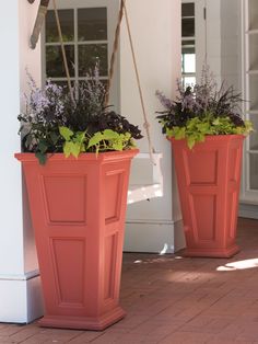 two orange flower pots with plants in them