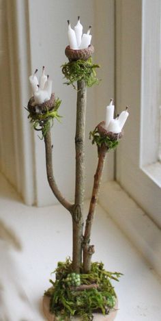 a small tree with white birds perched on it's branches in front of a window