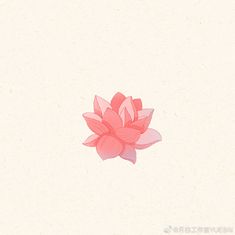 a pink flower on a white background