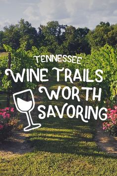 the words tennessee wine trails worth savoring in front of a vineyard filled with flowers