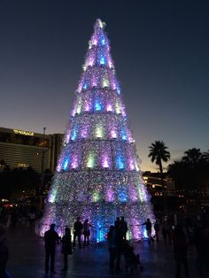 a large christmas tree is lit up at night