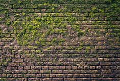 an old brick wall covered in green moss