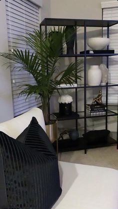 a living room filled with furniture and a large plant on top of a book shelf