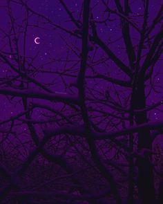 the night sky is purple and full of stars, with trees in the foreground