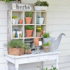 potted plants are displayed on an old shelf