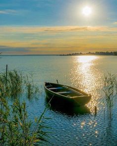 a small boat floating on top of a lake next to tall grass and reeds