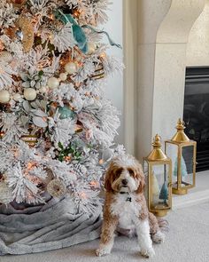 a dog sitting in front of a white christmas tree with gold and silver ornaments on it