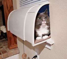 a gray and white cat sitting in a mailbox on the side of a wall