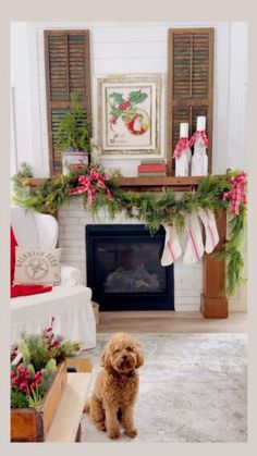 a dog sitting in front of a fireplace decorated for christmas