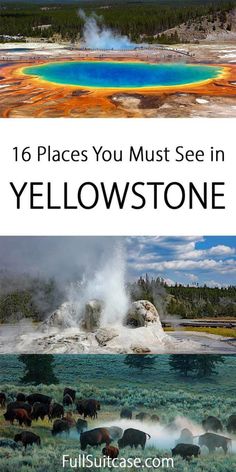 yellowstone national park with the words, 16 places you must see in yellowstone