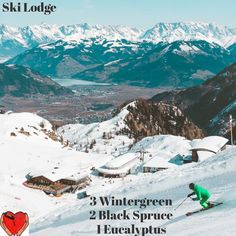 Daily Diffuser Blend: Ski Lodge

New members, click this link to create your account, place your order & waive the enrollment fee: https://rpb.li/BwWLKc

Questions? Message me.
#doTERRA #pure&natural #selfcare #empowered #essentialoils #essentiallife #wellness #December #winterwellness #holidaycheer