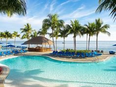 an outdoor swimming pool with chaise lounges and palm trees alongside the water's edge