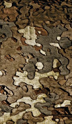 an abstract photograph of rocks in brown and white